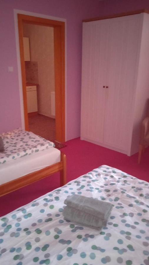 Ubytovani V Soukromi Na Podluzi Josefov Luaran gambar